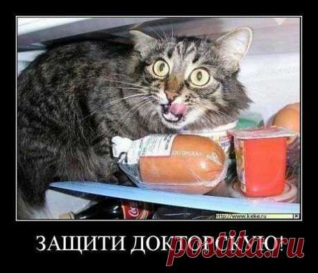Хитрюга