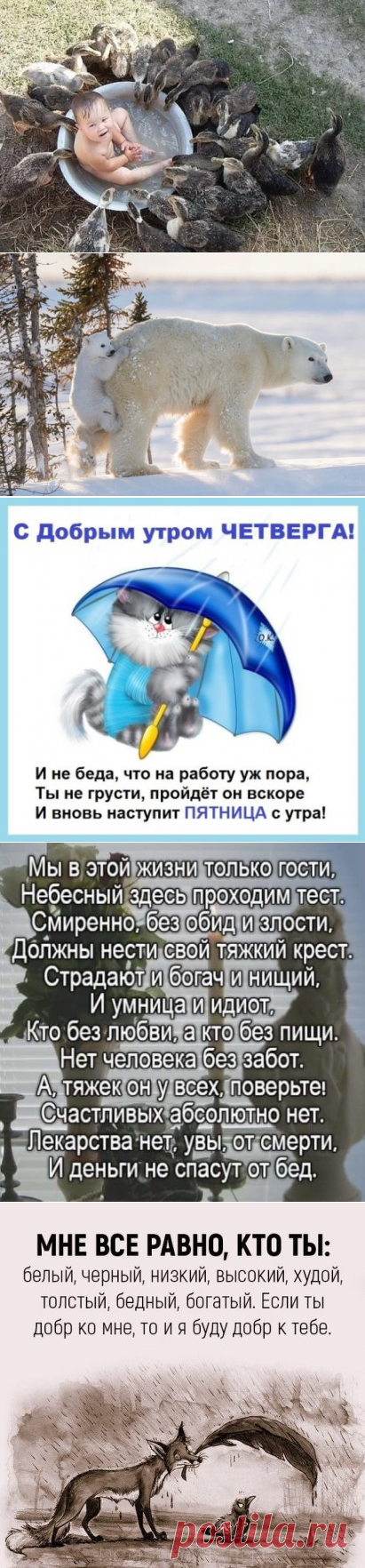 (51) Одноклассники