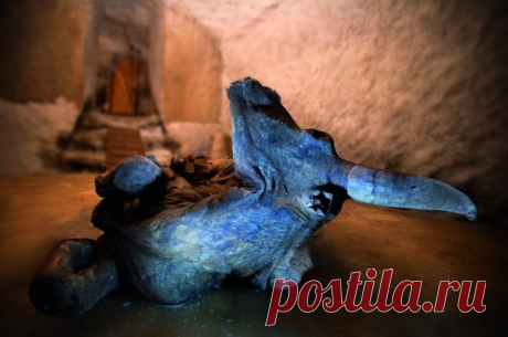 Этому экземпляру – не меньше 10 тысяч лет. Мы надеваем белые перчатки и впятером с трудом переворачиваем тушу. Тут нас ждет первое открытие: мнимая самка оказывается самым настоящим быком. 6 лет назад наш научный редактор увидел быка странного синего цвета – и подробно описал обстоятельства встречи.