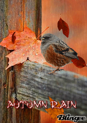 Фотография autumn rain #135024480 | Blingee.com