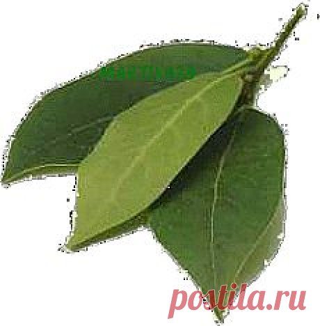 СПОСОБЫ ЗАЩИТЫ ОТ ПРОКЛЯТИЯ...