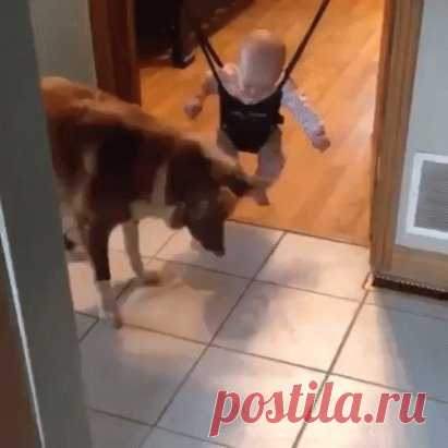 Одноклассники