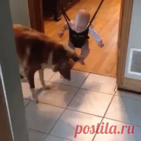 Одноклассники