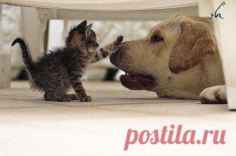 Не чихай, а то меня снова сдует