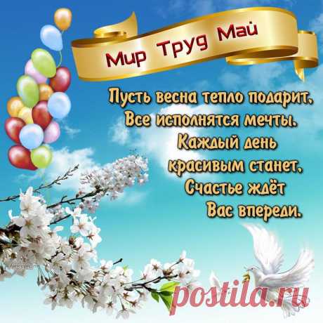 Теплым лучикам весенним,
Дверь скорее открывай.
В позитиве жить желаю,
В славный праздник Первомай.