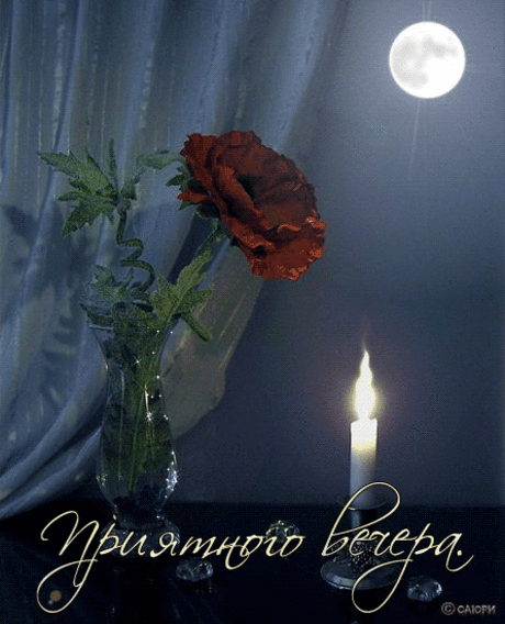 Приятного вечера!!!  
 
 
 
 
 
 
 
