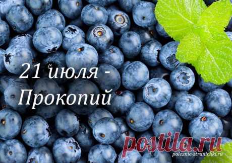 Народные приметы 21 июля в день Прокопия Жнеца. Что не стоит делать 21 июля по поверьям и приметам. Что можно и надо сделать в день Прокопия