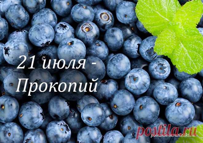 Народные приметы 21 июля в день Прокопия Жнеца. Что не стоит делать 21 июля по поверьям и приметам. Что можно и надо сделать в день Прокопия