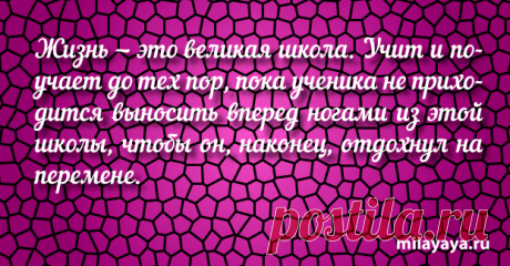 Красивый статус со смыслом в картинках из жизни для женщин (картинка 242) . Милая Я