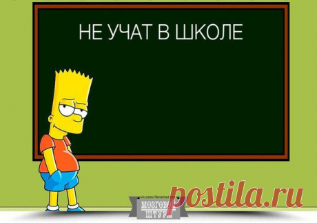 Быть умным - это модно: 14 вещей, которым не учат в школе