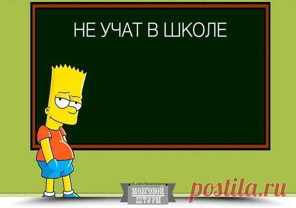 Быть умным - это модно: 14 вещей, которым не учат в школе