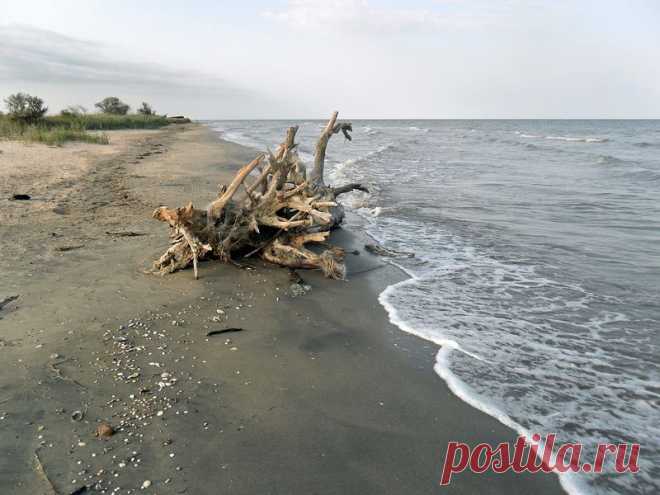 Человек с фотоаппаратом, в жаркий день - 6 Ноября 2015 - Персональный сайт