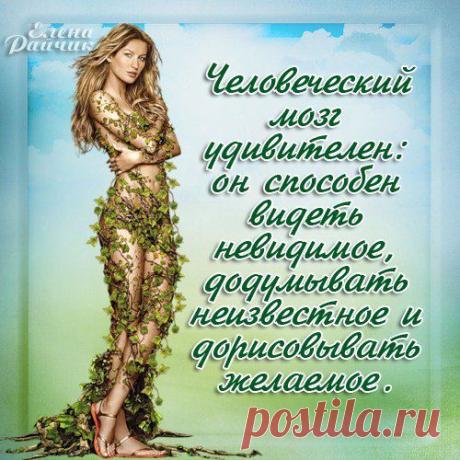 Людмила Новикова