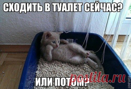 Мой Мир@Mail.Ru