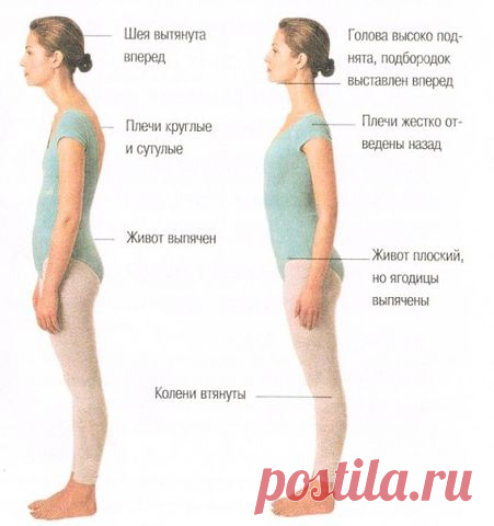 осанка