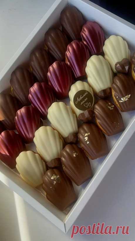 Изображение пина-истории