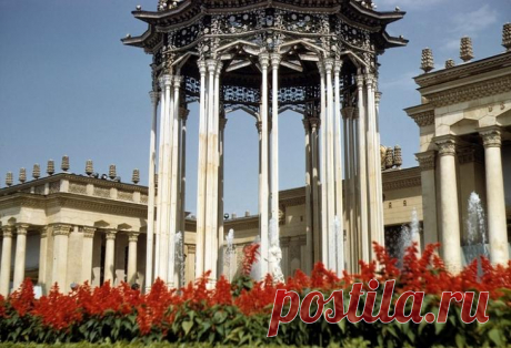 Фотографии Джона Шульца, 1958 год