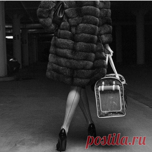 .Ключ к тому, как сводить мужчин с ума Азбука неотразимости

Если у тебя есть знание, позволь другим зажечь от него свою свечу
Маргарет Фуллер, писательница и философ

Ваша неотразимость кроется в настоящем