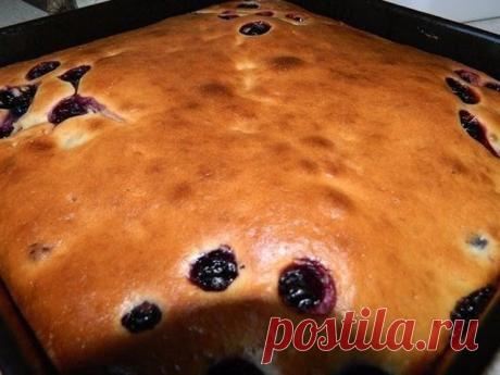 СМЕТАННИК - ПРОСТОЙ КЛАССИЧЕСКИЙ РЕЦЕПТ     Сколько себя помню, в нашей семье мама очень часто готовила сметанник.  Конечно же существует много разнообразных рецептов, а также есть...