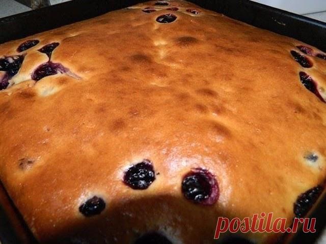 СМЕТАННИК - ПРОСТОЙ КЛАССИЧЕСКИЙ РЕЦЕПТ     Сколько себя помню, в нашей семье мама очень часто готовила сметанник.  Конечно же существует много разнообразных рецептов, а также есть...