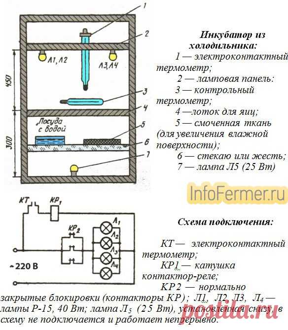 Инкубатор для яиц своими руками схема и описание | infofermer.ru