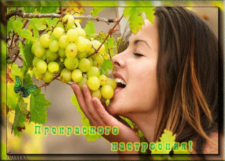 Прекрасного настроения!