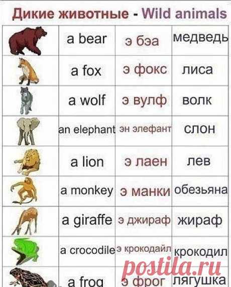 УЧИМ АНГЛИЙСКИЙ С ДЕТКАМИ