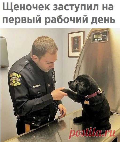 Красивые Картинки