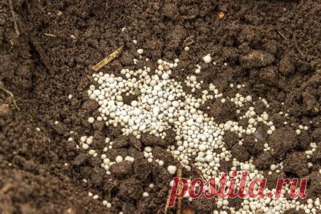 Монофосфат калия применяется для подкормки всех видов растений