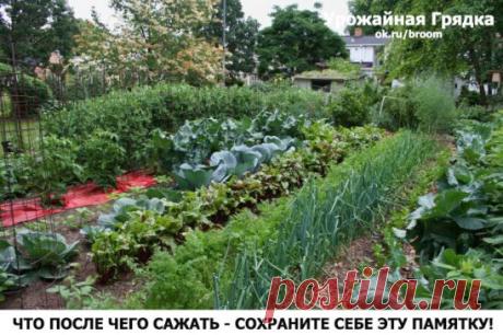 (41) Одноклассники