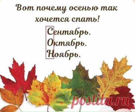 Юмор&gt;Улыбнитесь!