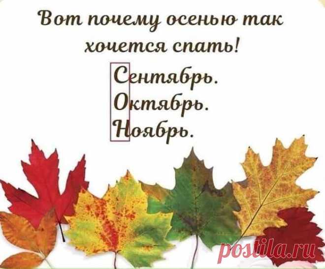 Юмор>Улыбнитесь!
