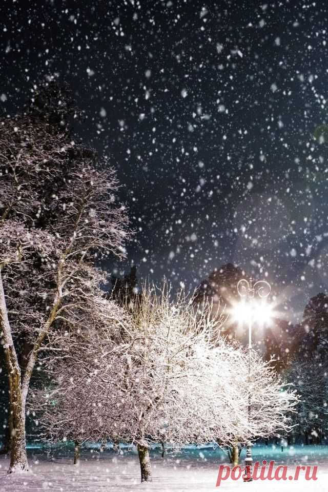 Winter Wonderland : Photo