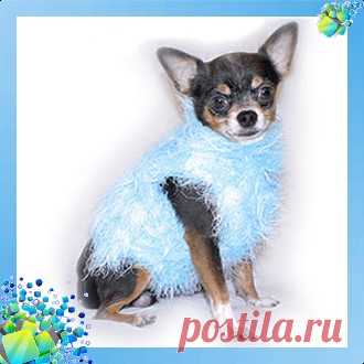Вязанный свитер для собаки. Схема вязания 28