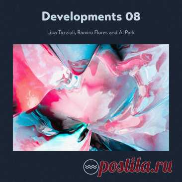 VA - Developments 08 TFL060 » MinimalFreaks.co