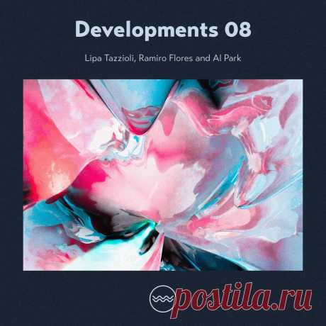VA - Developments 08 TFL060 » MinimalFreaks.co