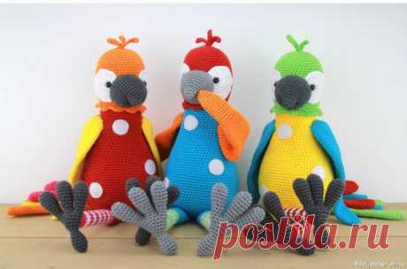 Попугай крючком. Описание