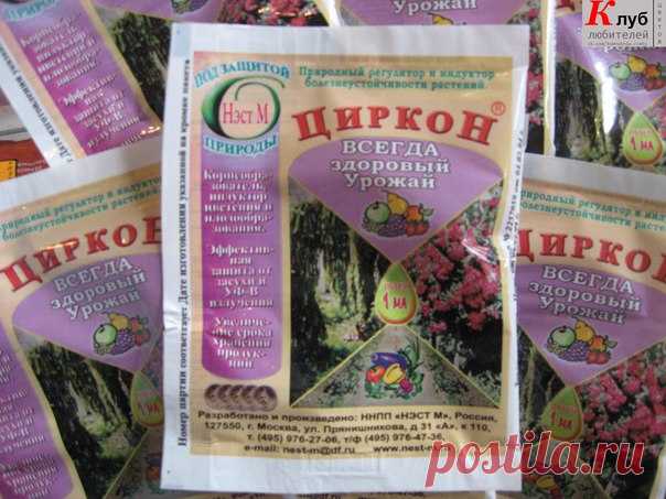 Наш помощник - 