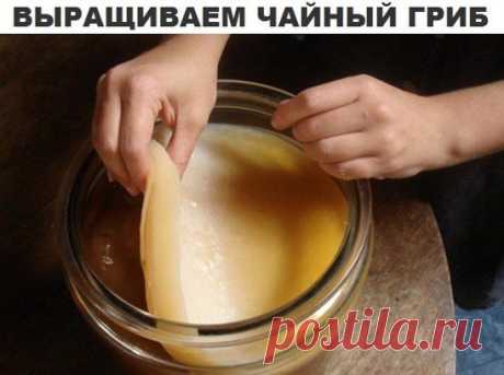 (57) Одноклассники