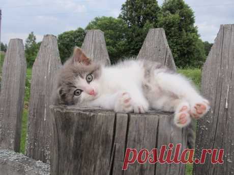 Мой Мир@Mail.Ru