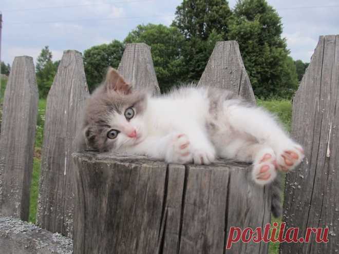 Мой Мир@Mail.Ru