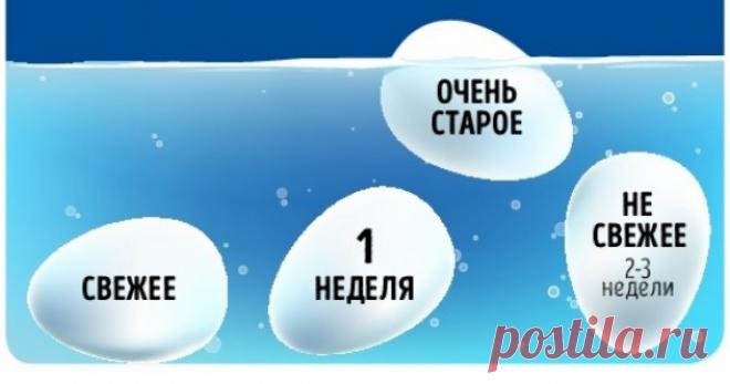 12 кулинарных приемов, известных только профессионалам Чтобы готовить как мастер.