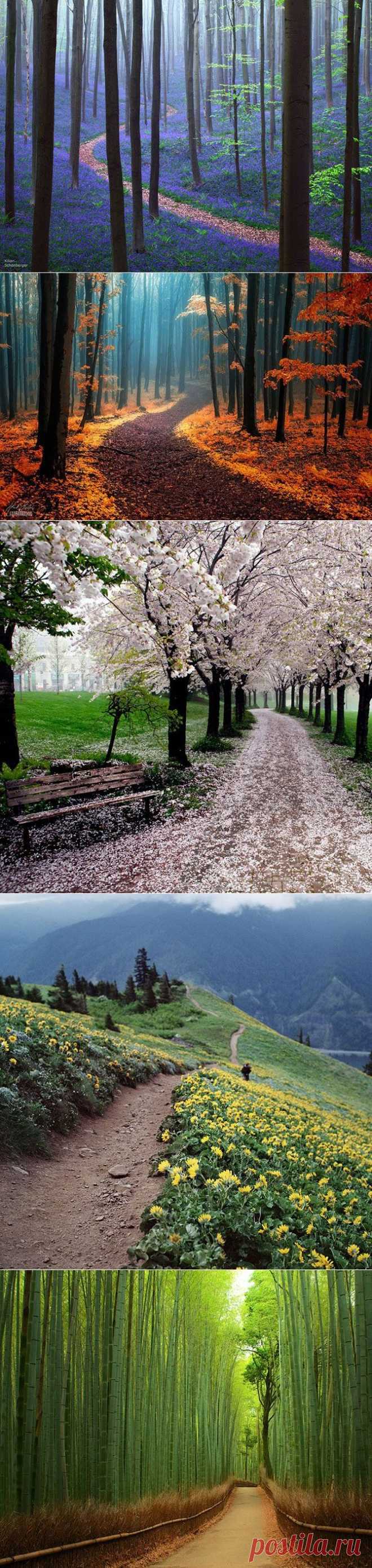 Волшебные тропинки для прогулок / Туристический спутник