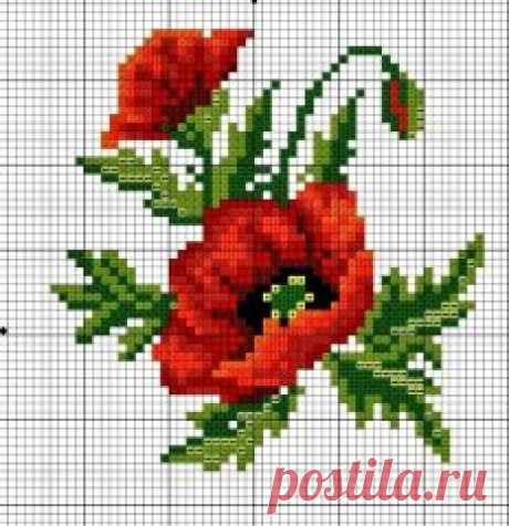 Одноклассники