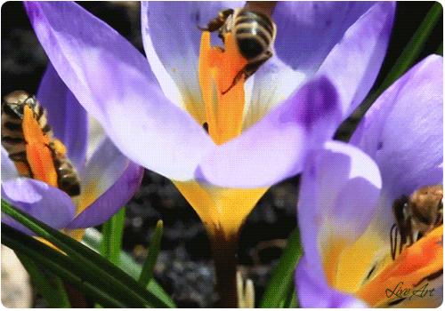 Мой Мир@Mail.Ru