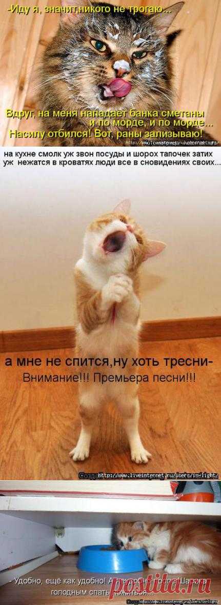 ЗАРЯЖАЕМСЯ ПОЗИТИВОМ... | Kote.Rjaka.com