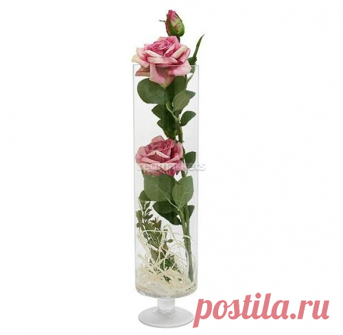 Декоративные цветы 