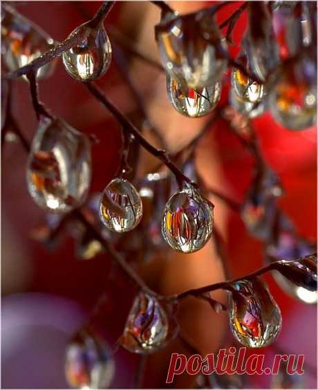 капли росы от пленAIR