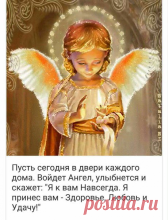 Фитхакер - Публикации