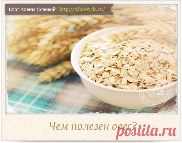 Настой овса - польза и рецепты приготовления и применения